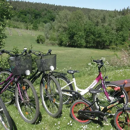 Awesome In Ankershagen Ot Bocksee Gross Dratow